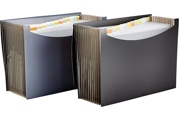 Amazon Basics Expanding Organizer File Folder, Letter Size - Black/Gray (2-Pack)