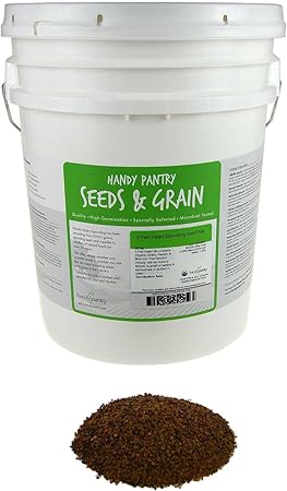 Amazon Com Handy Pantry 3 Part Salad Sprout Seed Mix 35 Lbs