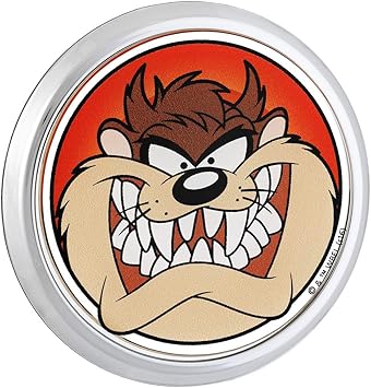 Looney Tuned Auto Sales Inc