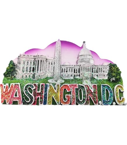 Washington DC Nummernschild Kühlschrank Sammler Souvenir Magnet 2,5 "X 3,5