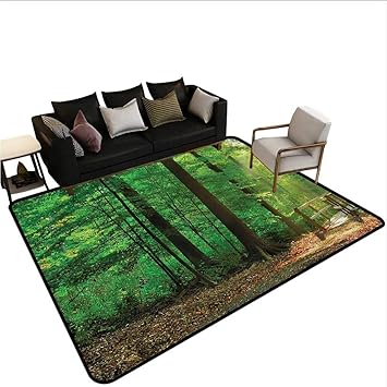 Amazon Com Landscape Anti Slip House Kitchen Door Area Rug 60 X