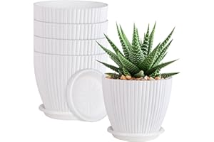 QRRICA Plant Pots 6 inch Pots, 5 Pack Flower Pots Outdoor Indoor, Planters with Drainage Hole and Tray Saucer-White
