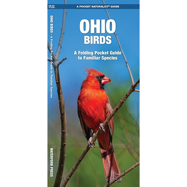 その他 The Encyclopedia of North American Birds The Encyclopedia of North American Birds : Amazon.ca: Livres