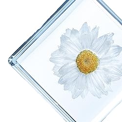 Bon Cube Real Flower Desk Accessory Mini Resin Cube