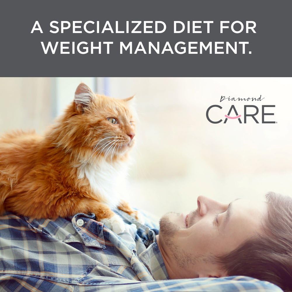 diamond care cat food