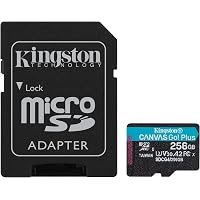 Amazon.com: Kingston 256GB Canvas Select Plus microSD Card | Up to
