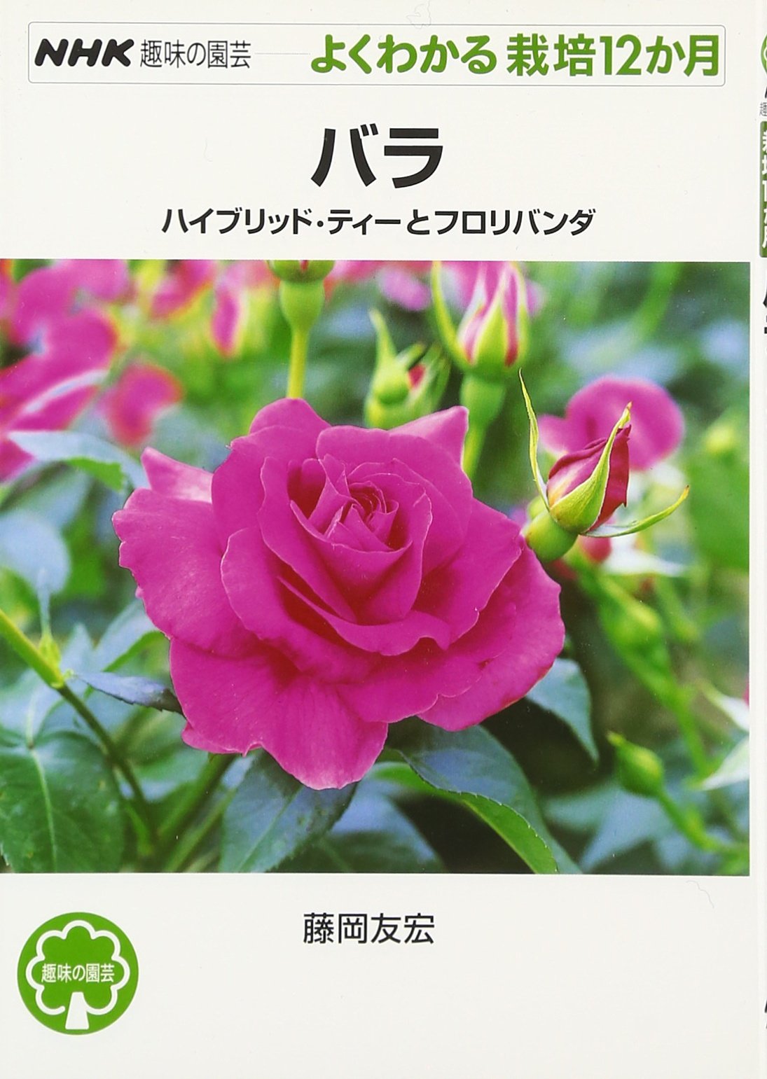 Amazon Fr バラ ハイブリッド ティーとフロリバンダ Nhk趣味の園芸 よくわかる栽培12か月 Tomohiro Fujioka Livres