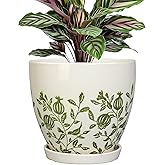 MPotTo Ceramic Pot for Plants 6.8 Inch - Ceramic Plant Pot Indoor with Drainage Hole and Saucer, Round Boho Planter for Indoor Outdoor Plants, Plant Lover Gifts, Home Office Garden Decor, White