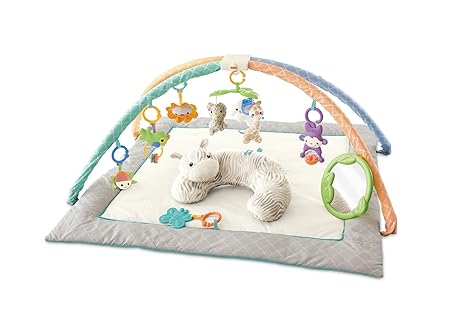 fisher price safari dreams activity gym