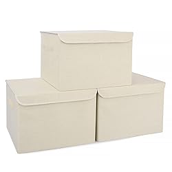 Bagnizer Large 42 Quarts Collapsible Stackable
