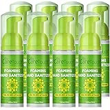 Care Touch Foaming Hand Sanitizer - Alcohol Free, Hand Sanitizer Travel Size, For Home, Travel, and Office Use, 1.62oz Bottle