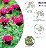 Garden Mile Heavy Duty Circular Plant Support Rings 10pc Spiral Stakes view 3