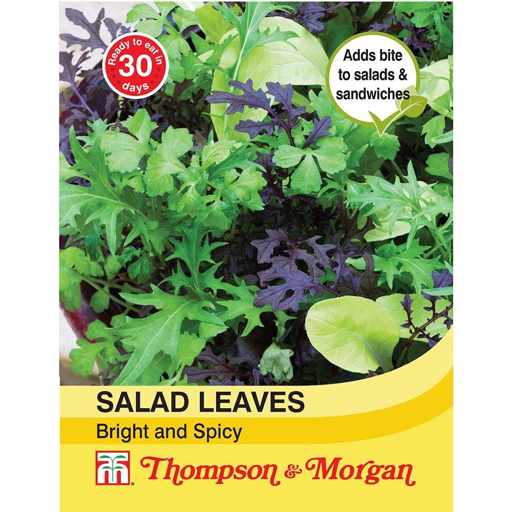 Thompson & Morgan - Vegetables - Salad Leaves - Bright and Spicy - 750 Seed