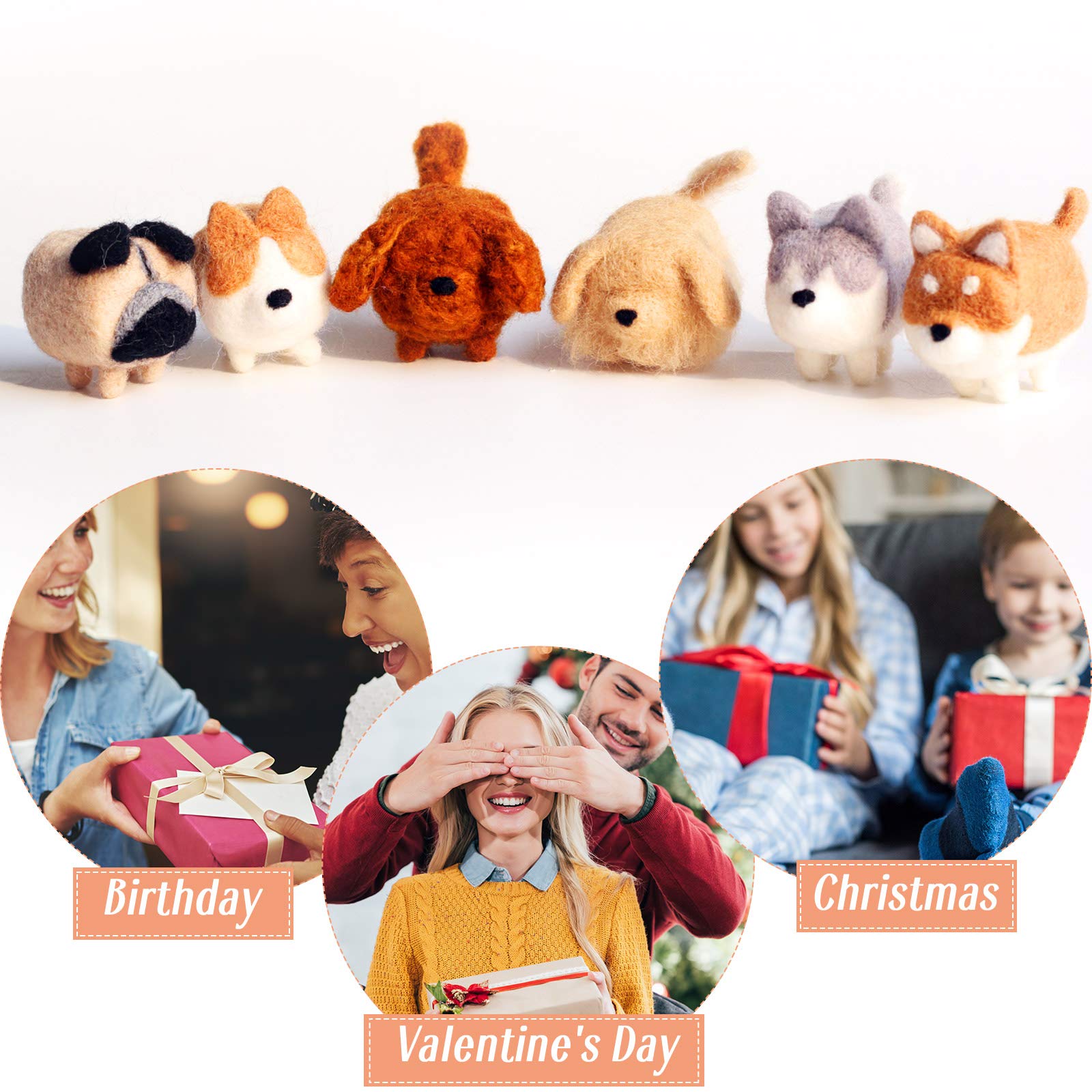 WILLBOND 10Pcs Needle Felting Kit Animals Doll Making Wool Needle Felting Starter Kit with Instruction DIY Handmade for Adult Friends Birthday Gift Home Decoration