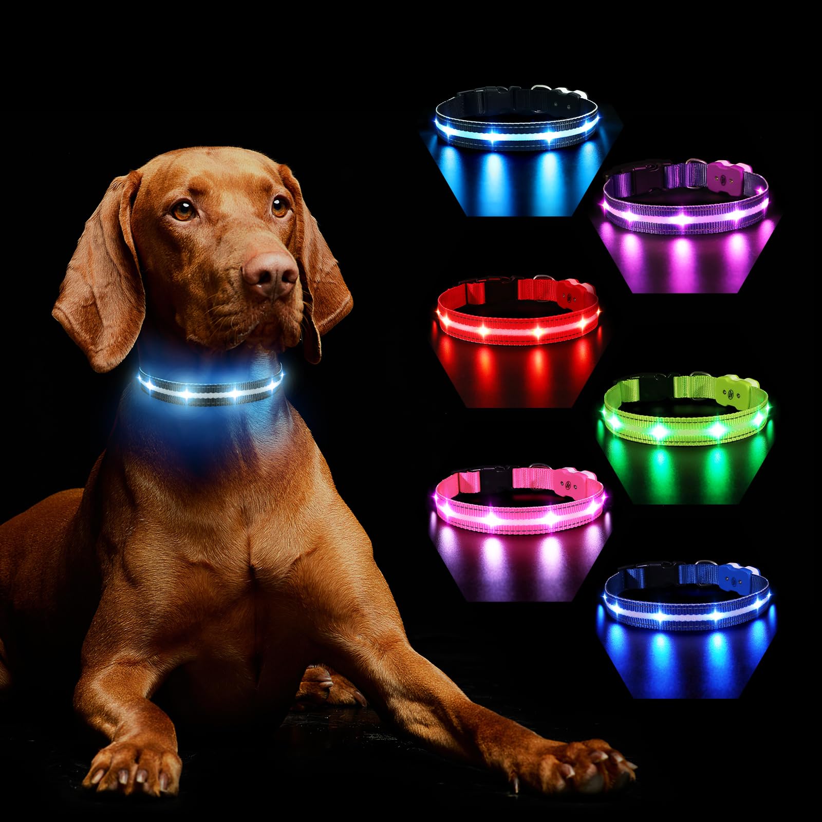 Light Up Dog Collar Rechargeable, LED Dog Collar Lights with 7 Colors Change 8 Lighting Modes Glow in the Dark, Adjustable Waterproof Flashing Collar for Small Medium Large Dog, Black L