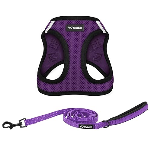 Voyager Step-in Air All Weather Mesh Harness and Reflective Dog 5 ft Leash Combo with Neoprene Handle, for Small, Medium and Large Breed Puppies by Best Pet Supplies - Purple/Black Trim, XX-Small