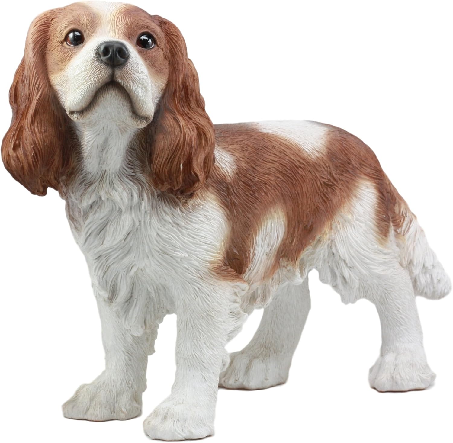 large cavalier king charles spaniel