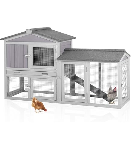 Lot De 2 Cages Sphériques Pour Poulets/Petits Animaux - 20cm Et 30cm, Blanc/Jaune - Pour Jardin, Ferme - Sécurité Extérieure - 9