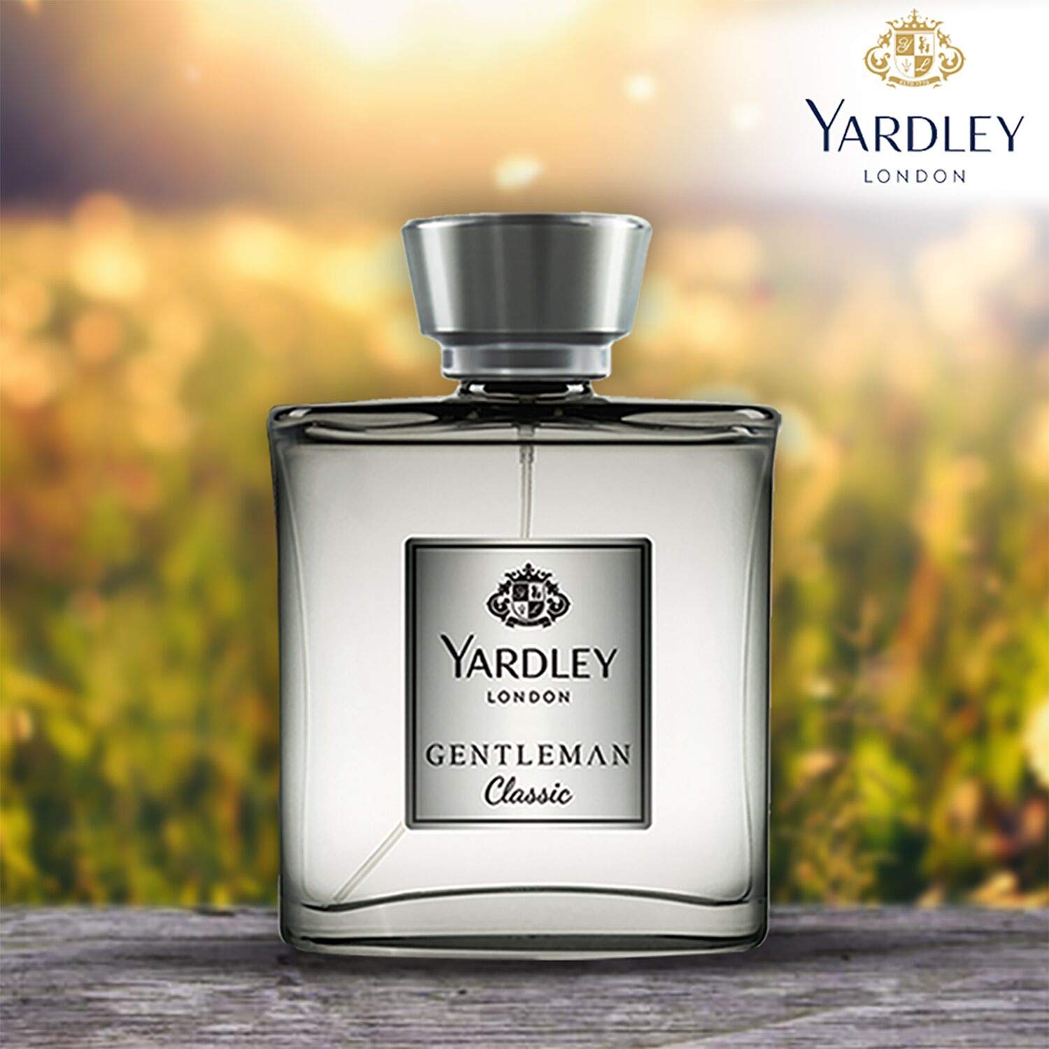 [Image: 71PBmefzq%2BL._SL1500_.jpg]