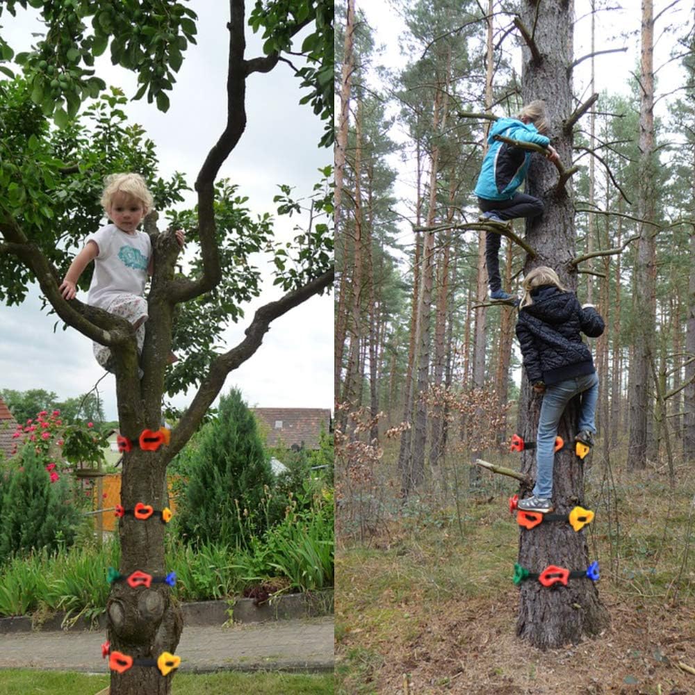 AmazeFan 15 Ninja Tree Rock Climbing Holds for Kids & Adults Climber, Climbing Grip Kits for Ninja Warrior Obstacle Course with 10' 160 Lbs. Load Cap Ratchet Tie Down Straps: Toys & Games