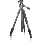 Vanguard Alta Pro 2 264AO Aluminum Tripod with Alta PH-31 Pan Head