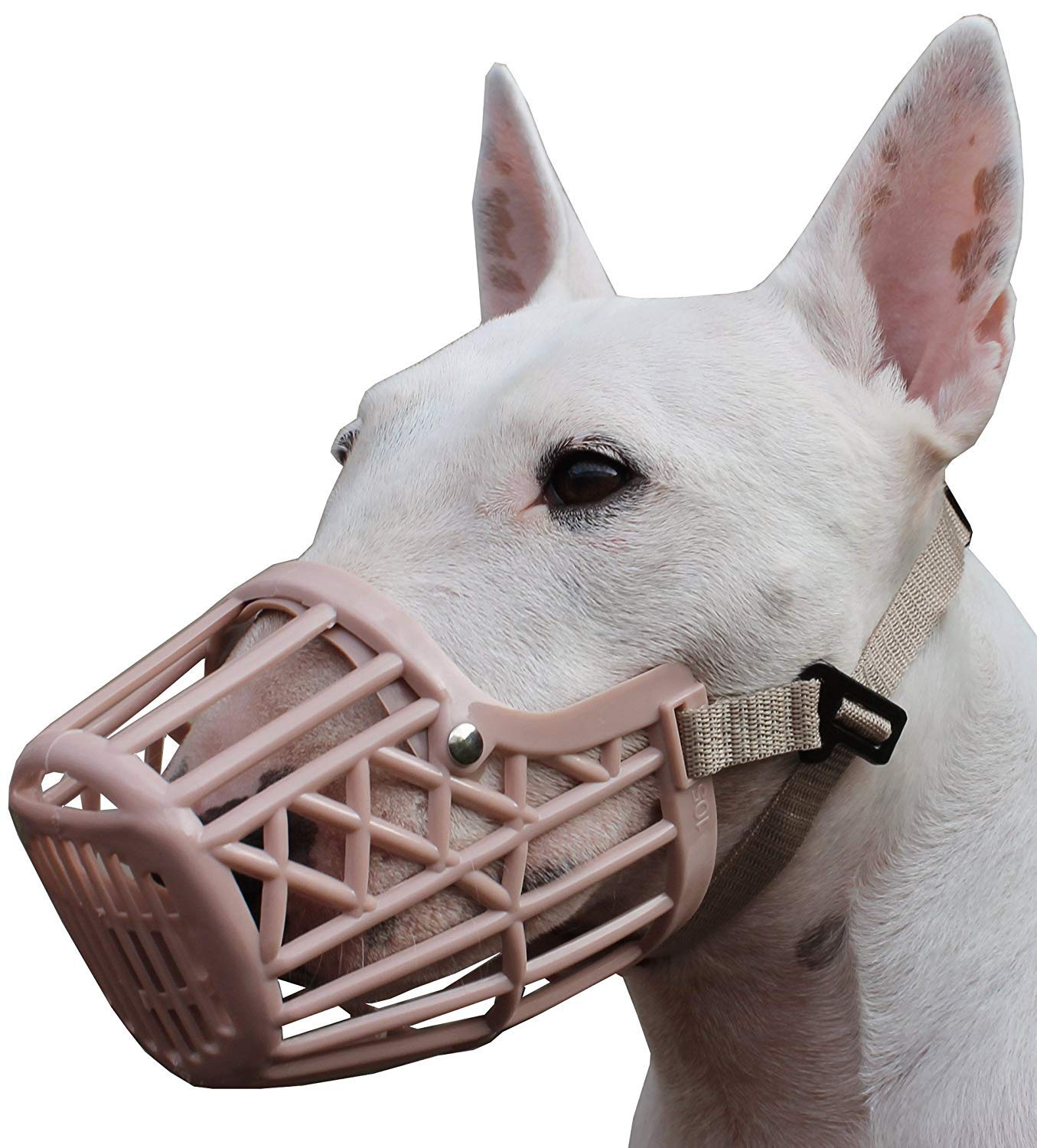 Dogs My Love Plastic Dog Basket Muzzle Beige 7 Sizes (Small: Circumference 7.5")