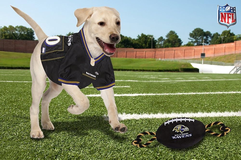 ravens dog gear