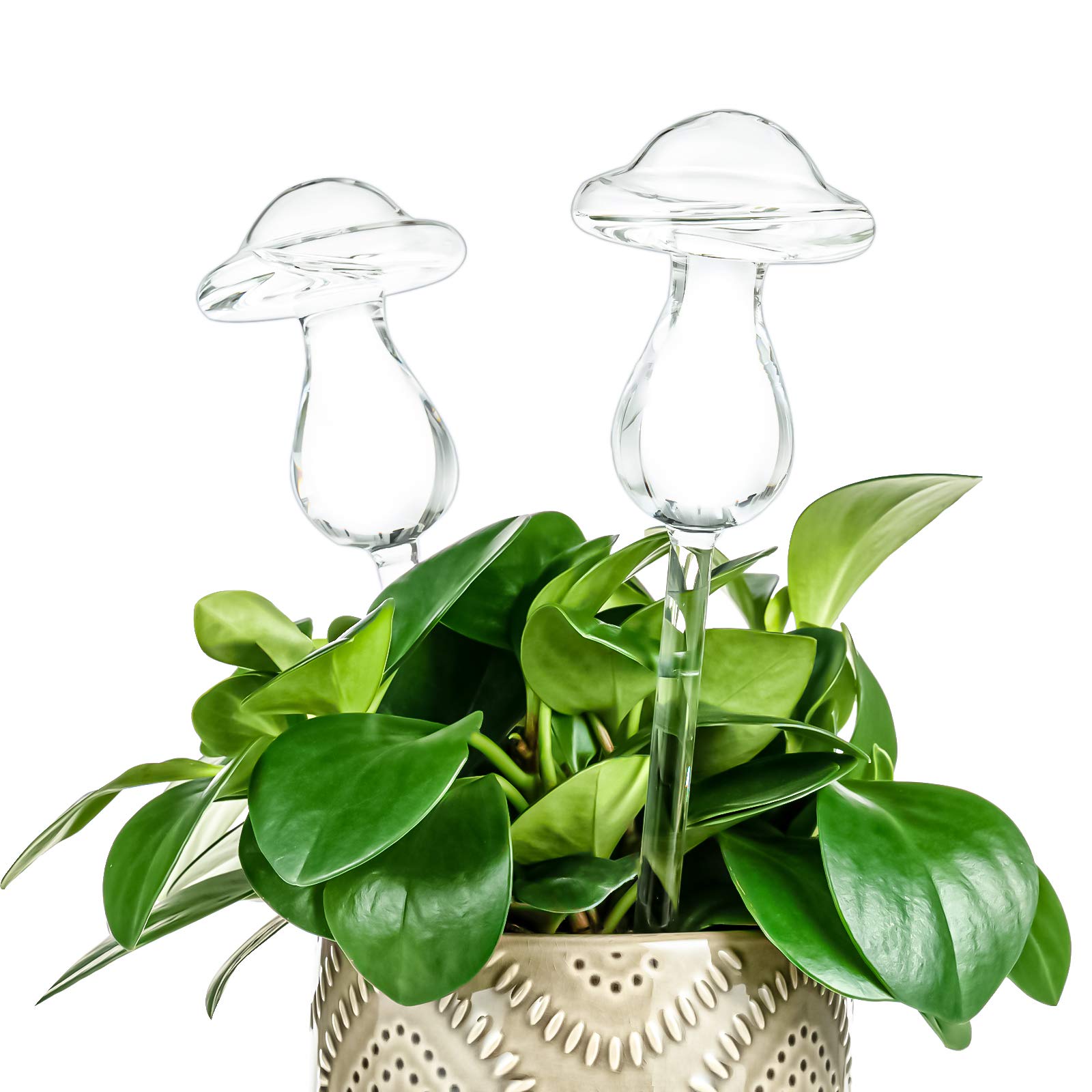 Photo 1 of Kingbuy Mushroom Shaped Self-Watering Globes - 4 Pack Glass Automatic Plant Waterer for Indoor Outdoor Plants, Water Bulbs & Decorative Stakes for Plant Lovers
