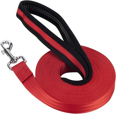 Vivifying Dog Training Lead 32FT 10m Nylon Leash Red with Padded Handle
