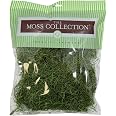 Quality Growers Red Mix Moss Variety Pack - Natural Preserved Moss For Crafts, Home Decor, Terrariums & DIY Projects (Small)