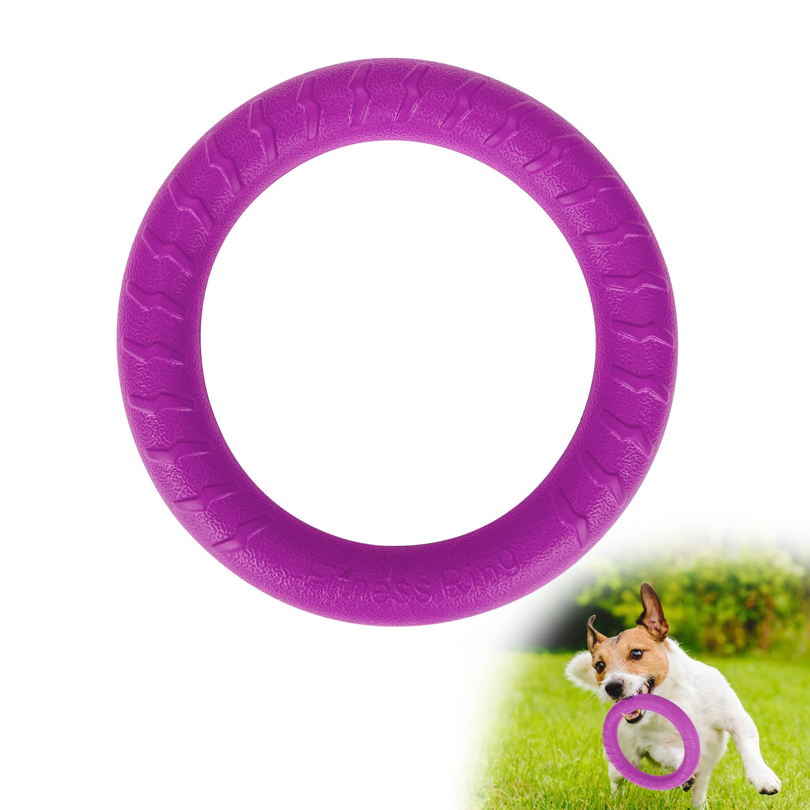 Durable Dog Fitness Ring Toy - Agility Equipment for Training & Exercise - Floating & Interactive - Small to Large Dogs