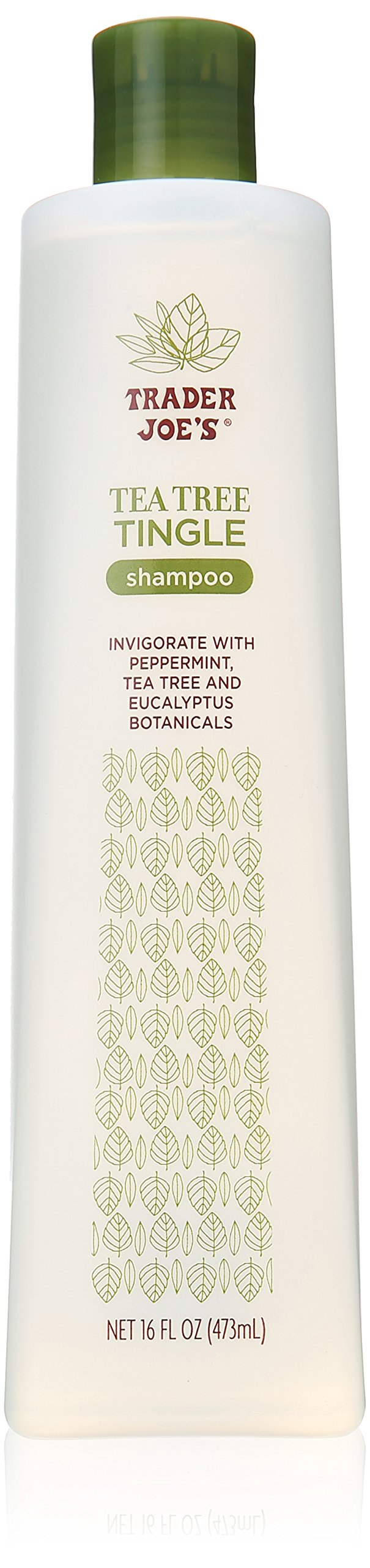 Trader Joes Tea Tree Tingle Body Wash (Pack