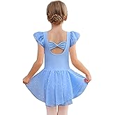 MdnMd Dance Ballet Leotard with Skirt for Toddler Girls Ballerina Dresses Outfit Back Bow Ruffle Sleeve Glitter