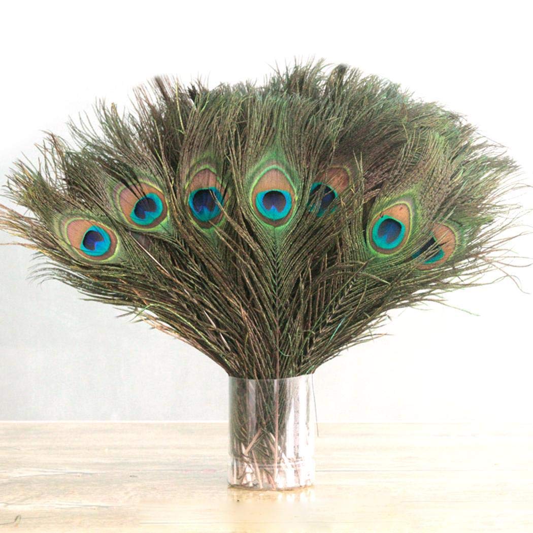 Blueis 10Pcs Natural Peacock Feathers for Crafts, Peacock Feathers in Bulk, Peacock Tail Feathers for Decor (Length:25~30cm) Feathers & Boas