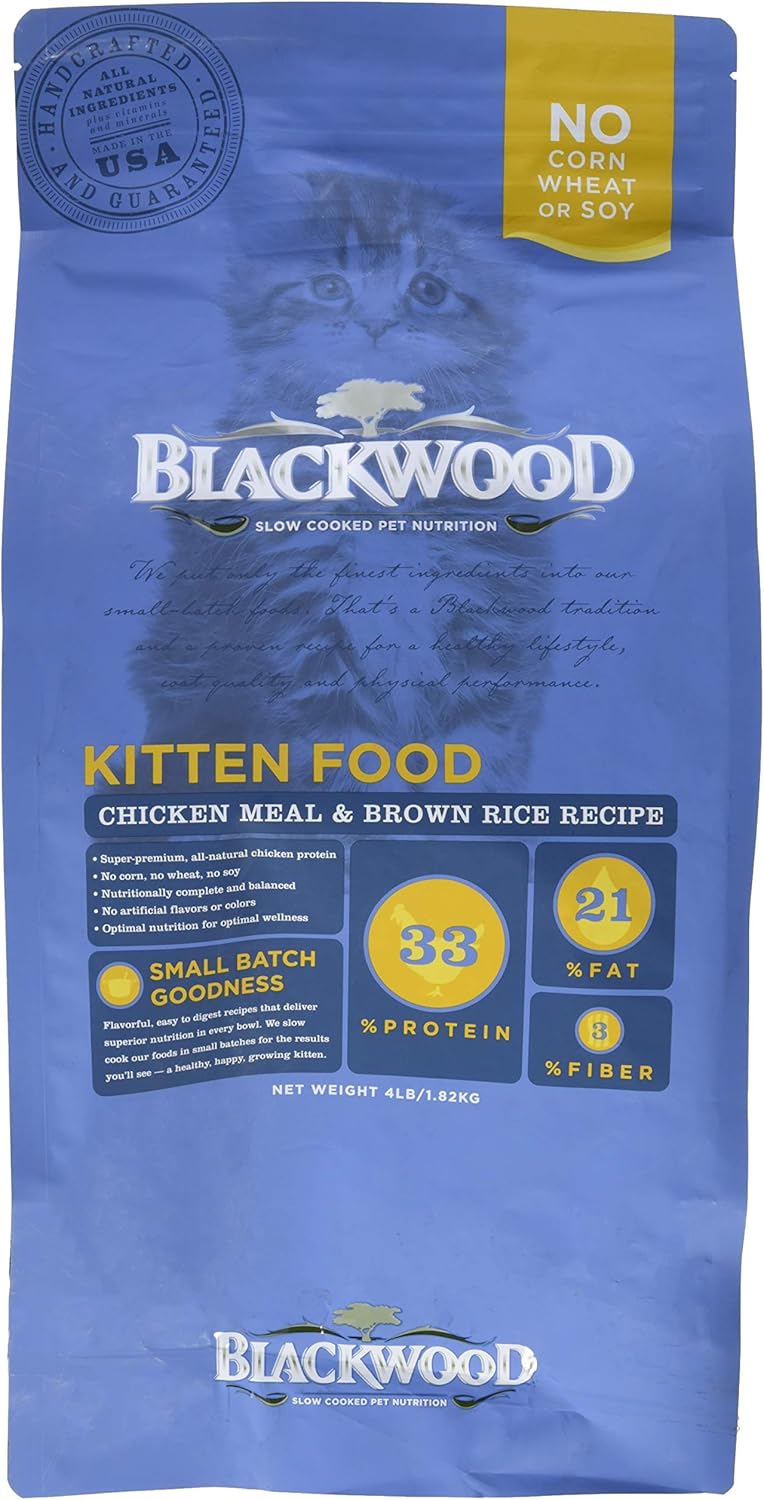 blackwood kitten