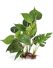 Künstliche Pflanzen | Amazon.de