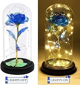 Touloube Galaxy Rose for Her Light Up Rose Glass Dome 8.66in Gift view 4