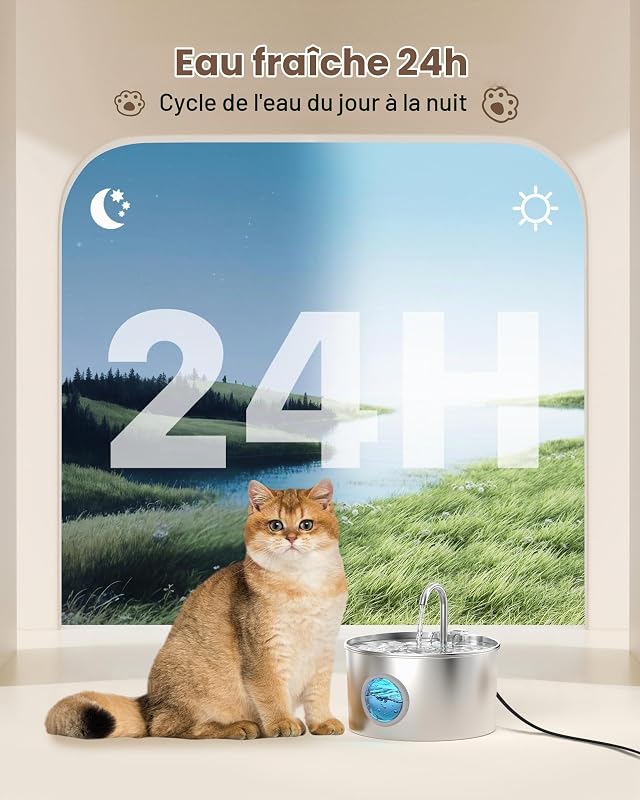 Fontaine a Eau Chat INOX: Fontaine à Eau pour Chat Automatique