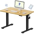 FLEXISPOT EN1 Whole-Piece Standing Desk 40" x 24" Electric Small Desk Height Adjustable Desk Sit Stand Desk Home Office Table (Black Frame + Maple Top, 2 Packages)