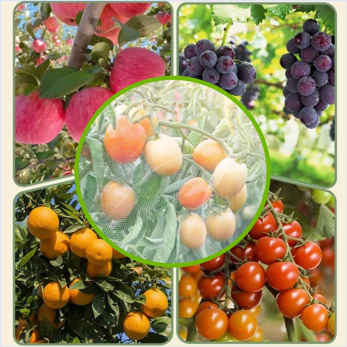 View 4