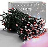 HOME LIGHTING 66ft Valentines Decorative Mini Lights, 200 LED Green Wire Fairy String Lights Plug in, 8 Lighting Mode, for Indoor Outdoor Christmas Tree Wedding Party Garden Decor (Red & White)