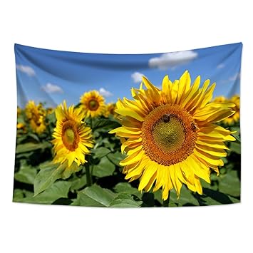 最新ひまわり おしゃれ 最高の壁紙コレクション