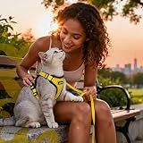 rabbitgoo Cat Harness and Lead Set Adjustable Escape Proof XS Yellow view 9