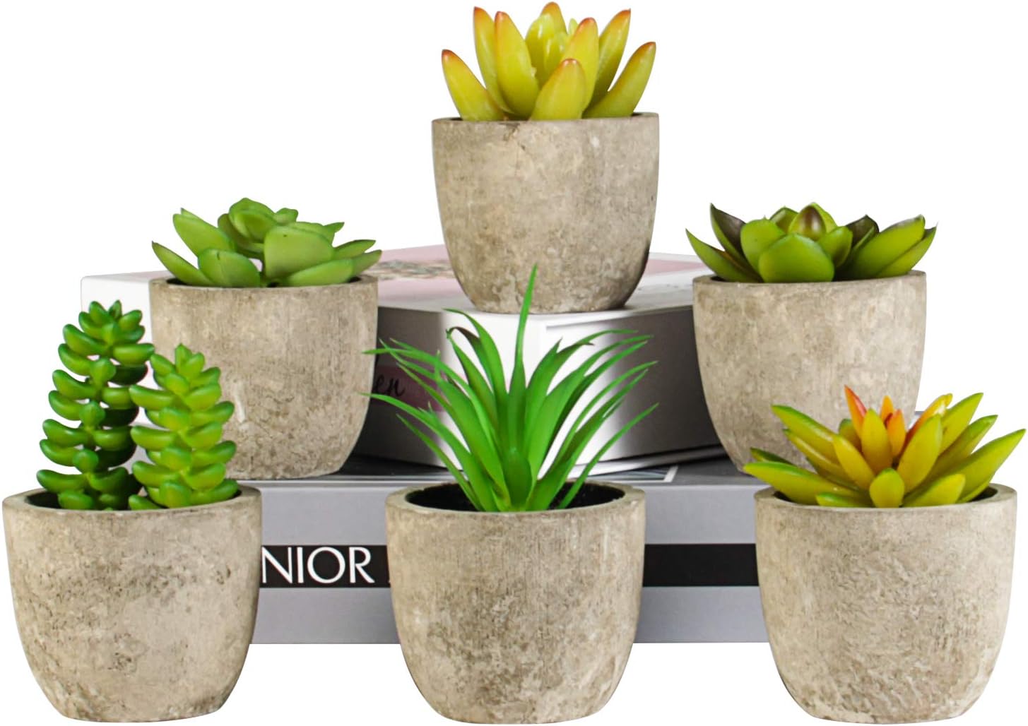 Buy Artificial Succulents Plants Potted, LAERJIN 6 pcs Fake Succulent