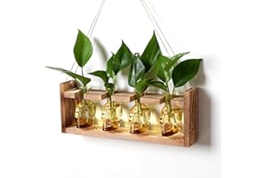 CYZGLASS Plant Propagation Stations Halloween Skull Plant Terrarium Kit Glass Vases Gift for Father Air Planter Home Office Decor