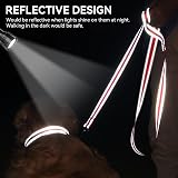 Joytale Padded Handle Dog Lead Double-Sided Reflective Nylon 1.8 m Red view 4