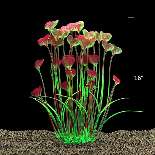 flowering aquarium plants