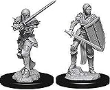 D&D Nolzurs Marvelous Unpainted Miniatures: Wave