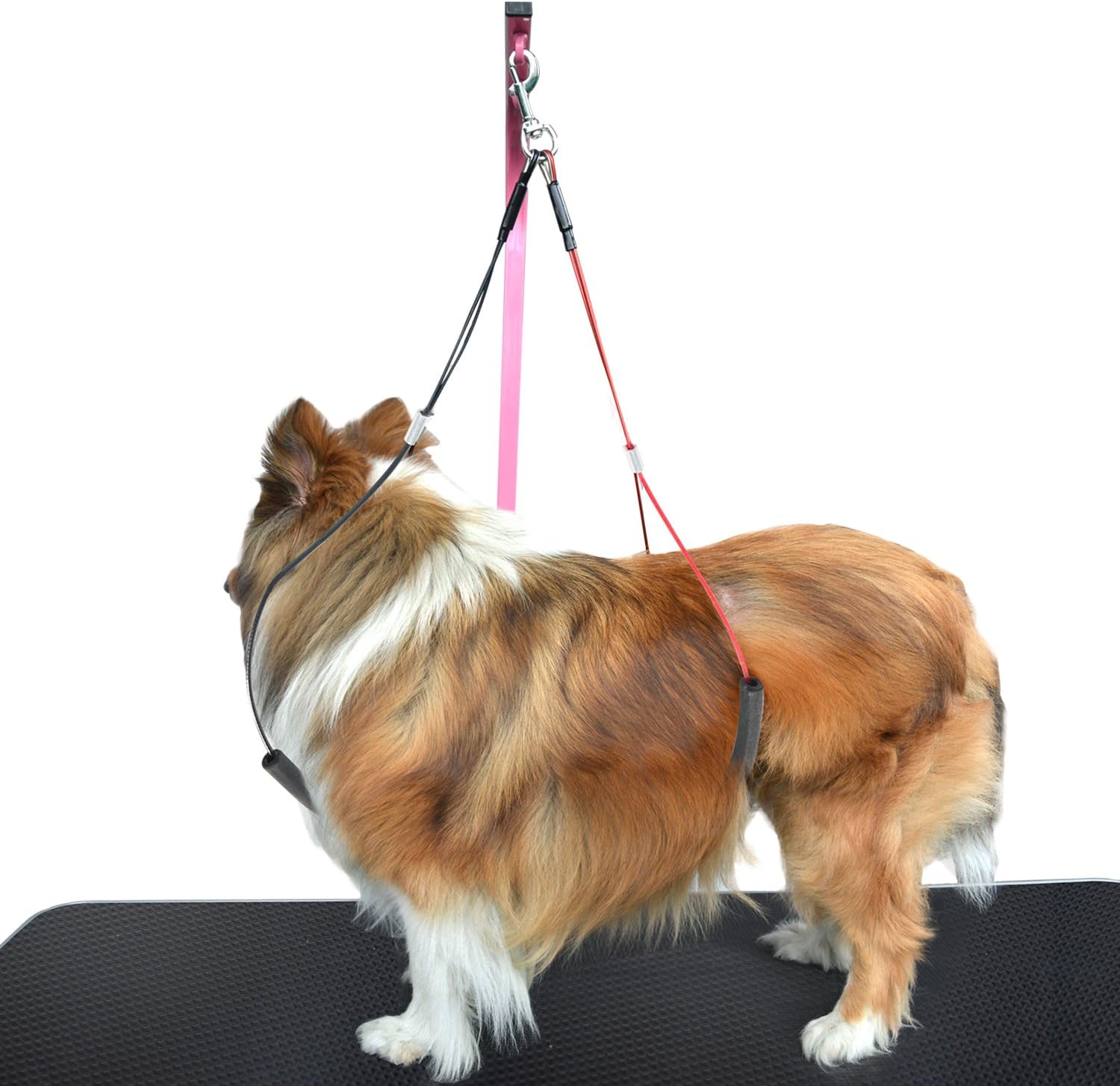 SHELANDY Pet Haunch Holder Dog Grooming Loop restraint for small large dogs (Small)