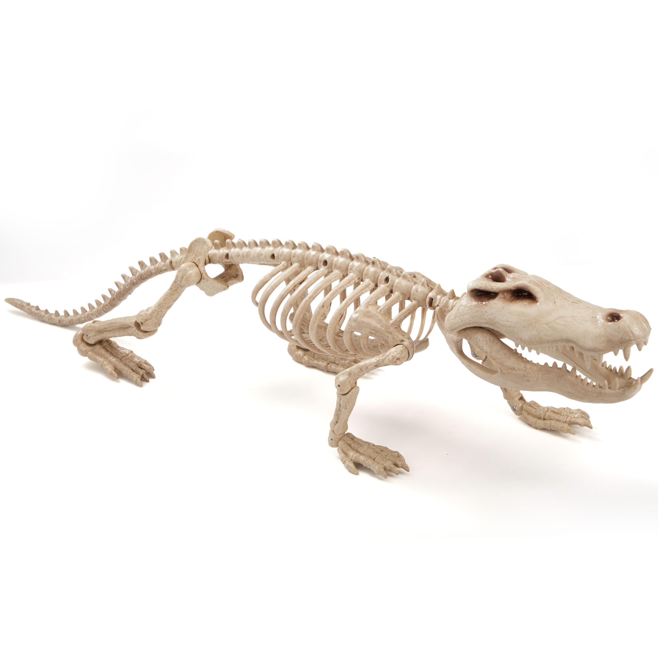 Photo 1 of JOYIN 28" Skeleton Crocodiles Halloween Decorations with Posable Joints, Plastic Skeleton for Halloween Party Outdoor Indoor Decor, Spooky Animal Courtyard Yard Patio Lawn Garden Props Decor(1PCS)